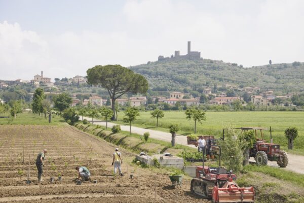 Aboca, Cortona on the Move commission Simon Roberts