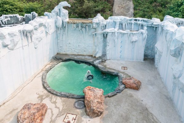 Dalian forest Zoo, China (2015) © Sheng-Wen Lo_MAIN