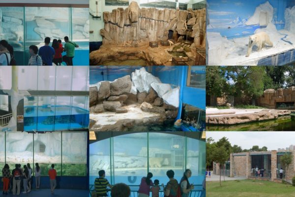 The March of the Great White Bear (video stills, 2017) © Sheng-Wen Lo