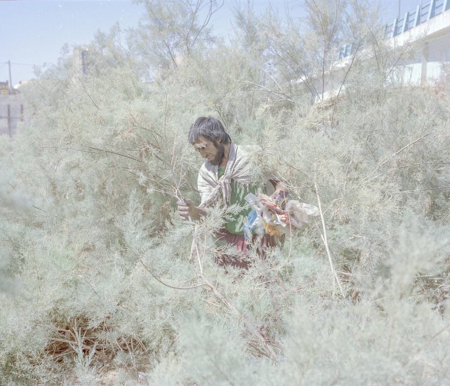 Hashem Shakeri