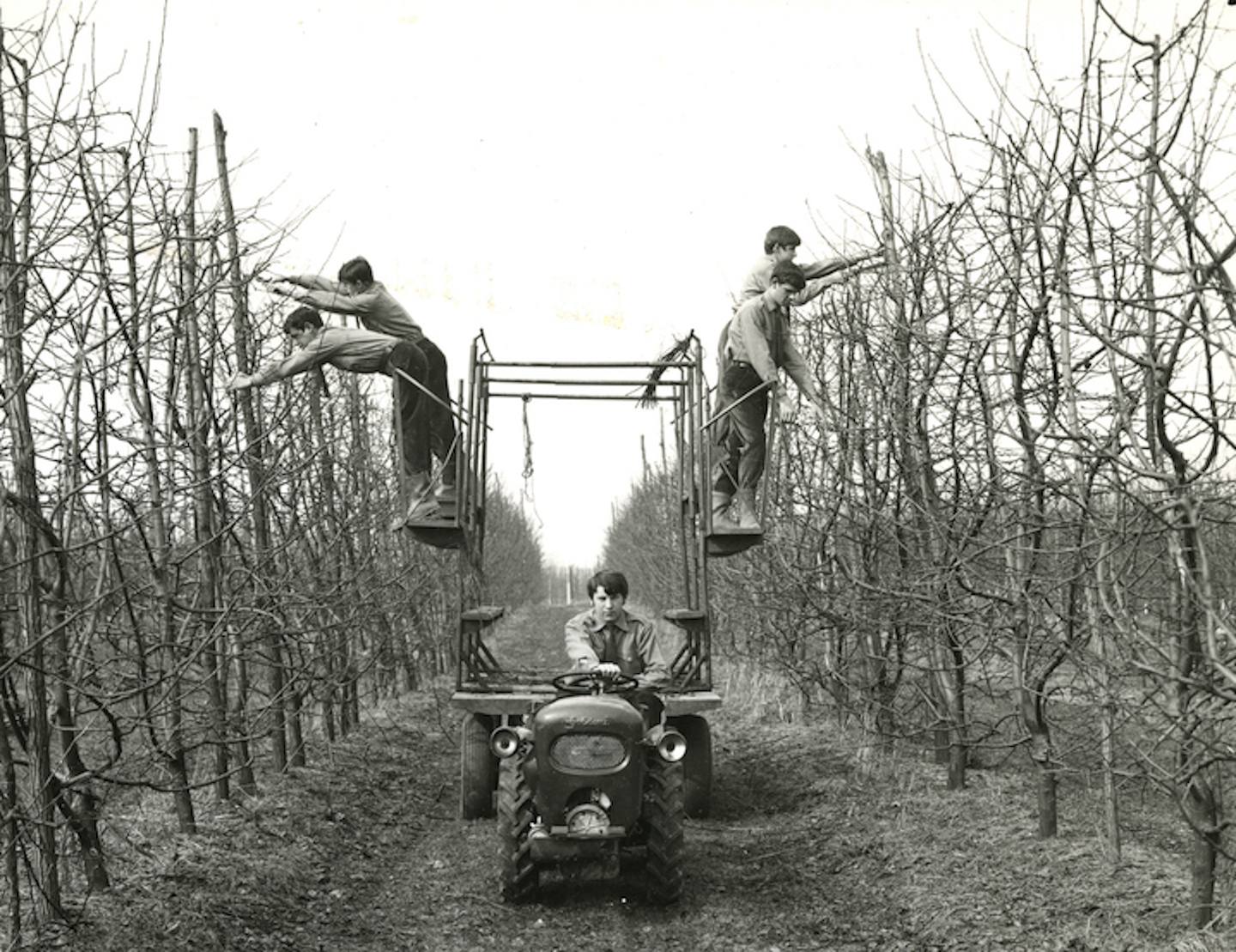 Human Landscape. Italy in the 20th Century