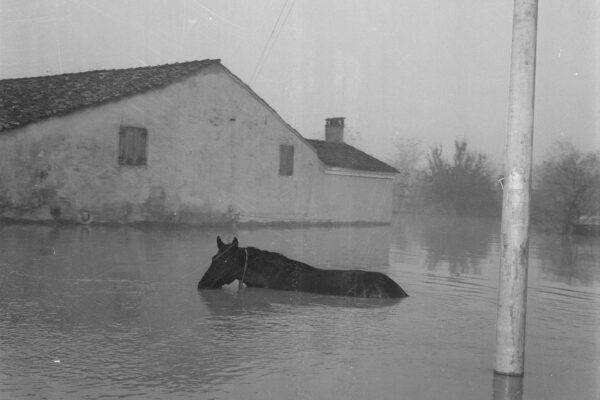 © Paesaggio umano_Press 03