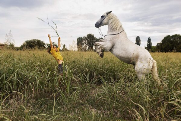 'Circus love' - The magical life of Europe's Family Circuses
Emilia Romagna, Italy August 2019. 
Cirque Bidon. 
Manon is training her horse Luce in a field nearby the Circus.
© Stephanie Gengotti