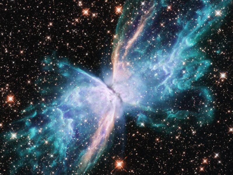 Stars_Gone_Haywire on NGC6302