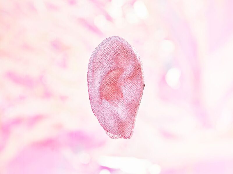 © Catherine Leutenegger