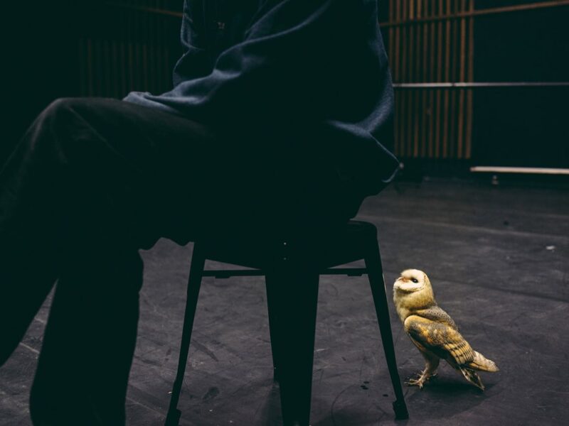 © Francesca Todde
