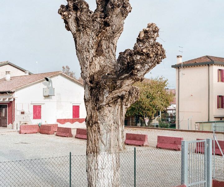 © Tomaso Clavarino