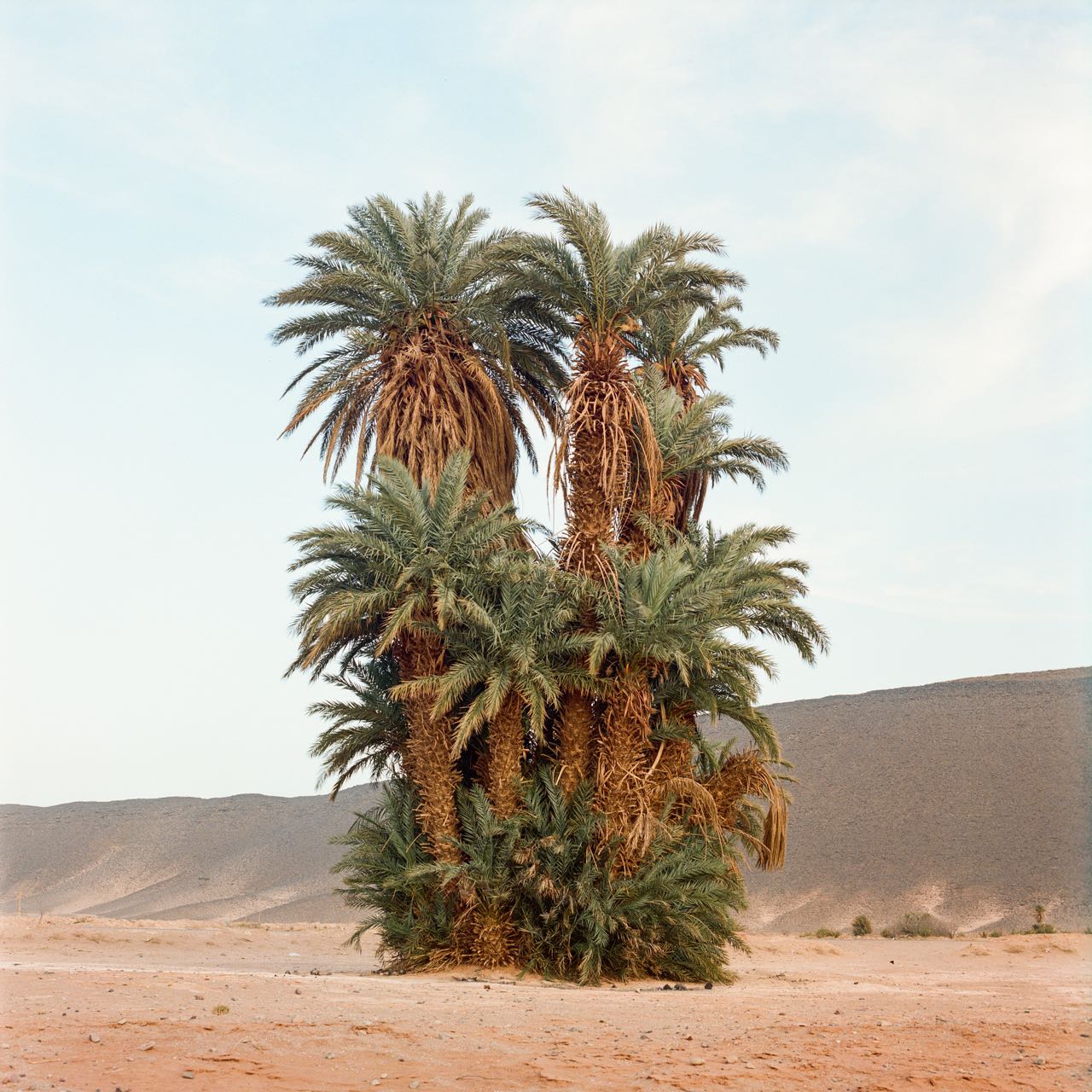 © M_hammed Kilito_Press